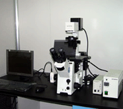 Fluorescent inverted phase contrast microscope